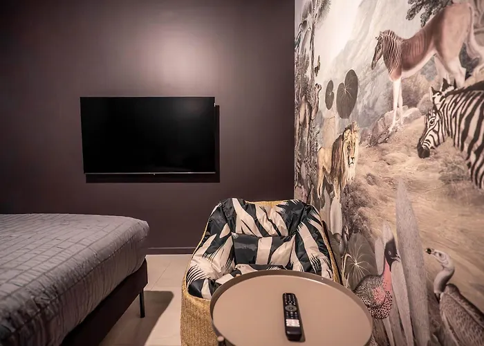 Apartment Songe De Savane - Ultra-centre St Quentin *